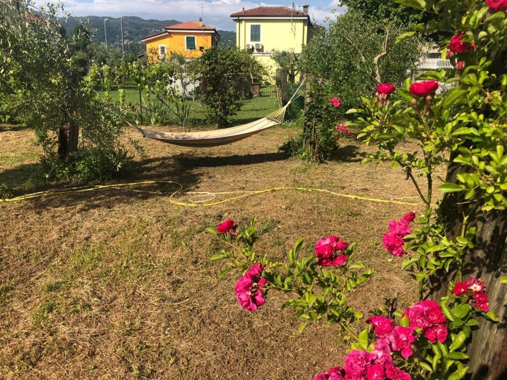 La Casa Di Ulivi Villa Piano di Follo Ngoại thất bức ảnh